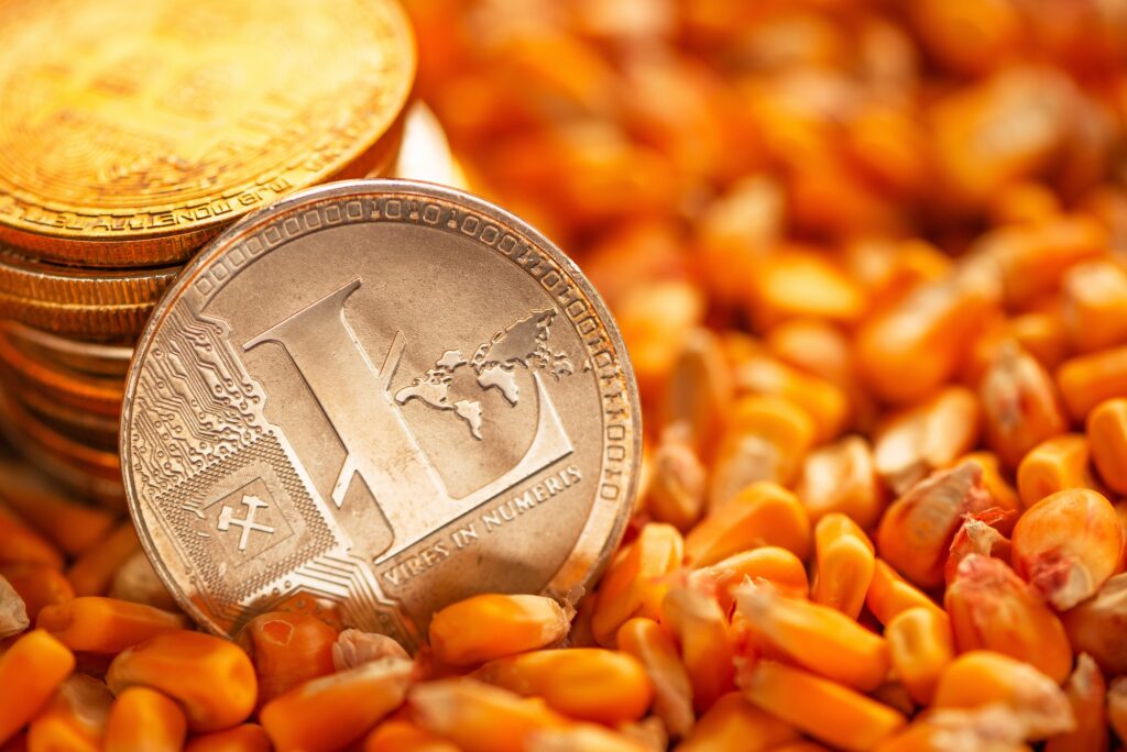 Litecoin on top of corn kernels heap